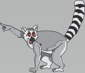 lemur dibujo